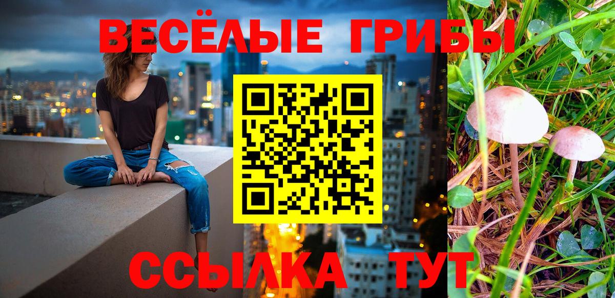 Сургут  Псилоцибиновые грибы GOLDEN TEACHER  Псилоцибиновые грибы прущие грибы  Вход с VPN 